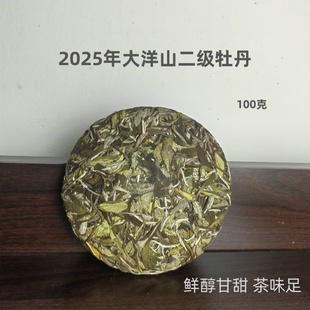 福鼎白茶磻溪大洋山 二级白牡丹 100克茶饼 鼎贝阿清和阿明家的茶