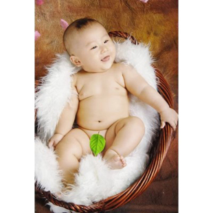 新款 宝宝海报照片宝宝画报漂亮男女婴儿画孕妇备孕胎教图片墙贴画