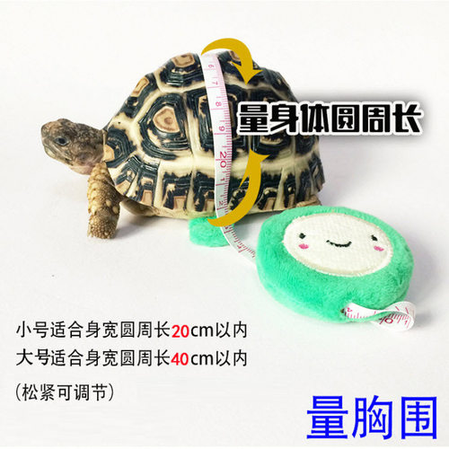 异宠爬宠用品小宠宠物龟鳖牵引绳 外出牵引带 训练绳跨境爆款乌龟