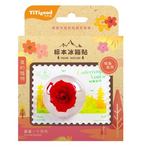 TiTigood千千谷标本儿童认知启蒙冰箱贴植物自然科学教具观察科普
