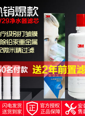 3M净水器滤芯SW29家用净水机替换滤芯适用SW20 SW26 dws2000滤芯