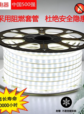 正泰220V LED高压灯带阻燃灯带使用寿命20000小时NEP-DD26、DD13