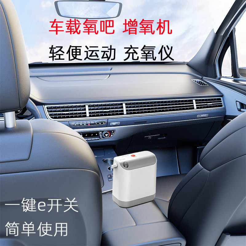充氧机户外车载制氧仪净化增氧机