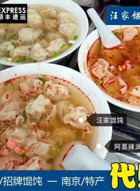 南京特产汪家馄饨50只现做带调料