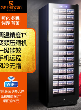 哥仕丹顿爬宠孵化箱一级能效