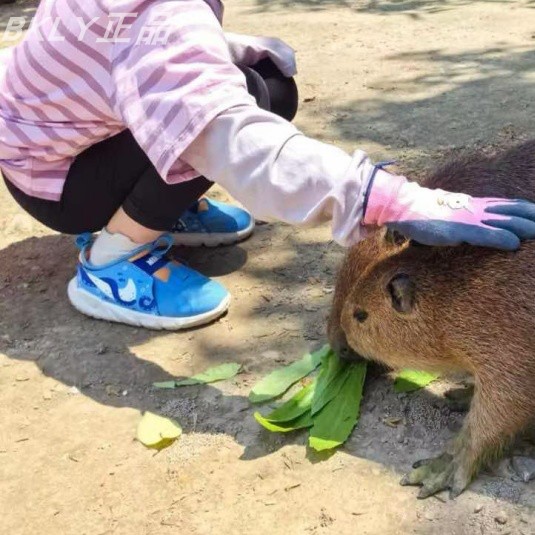 Nike耐克小童缓震一脚蹬跑步鞋