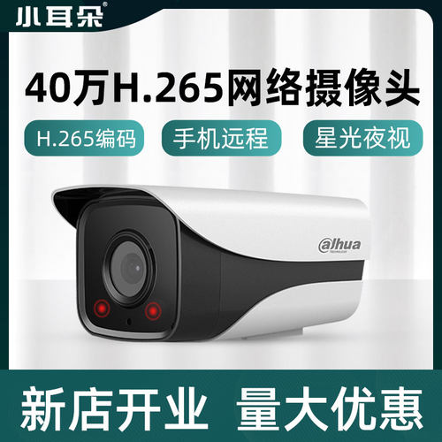 大华400万网络摄像头H.265星光摄像头DH-IPC-HFW2433DM-I1/I2