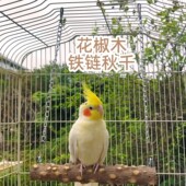 鹦鹉秋千铁链花椒木秋千玄凤小太站杆鸟用磨爪玩具架子摇篮吊桥