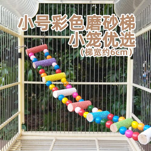 小号彩色鹦鹉磨砂爬梯6cm小笼用