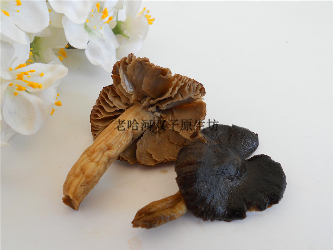 新品东北野生沙棘汁林里的灰顶小草蘑菇干货50克/包香脆