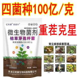 重茬剂微生物菌剂防土传病害根腐病蔬菜烂根死叶土壤杀菌改良肥料