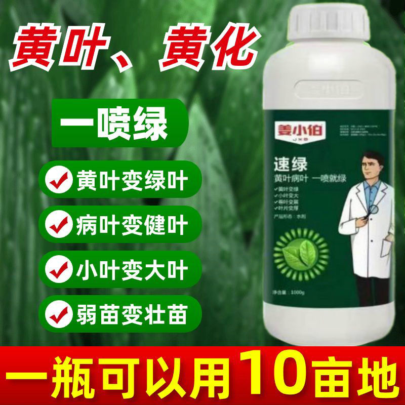 叶面肥一喷绿微量元素黄叶变绿