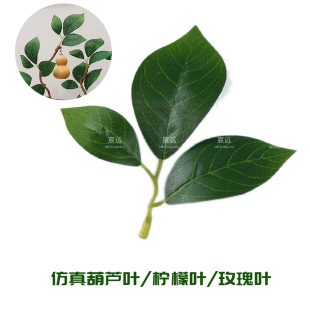 仿真葫芦叶玫瑰叶柠檬叶仿真树叶装 饰仿真绿植 饰植物家居造景墙装
