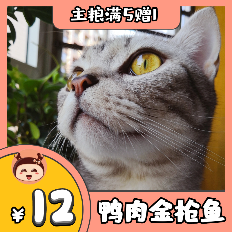 泡芙家.自制猫粮肉味天然粮猫咪