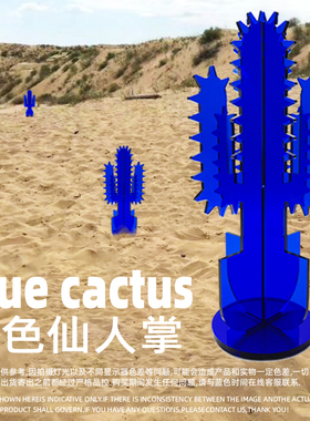 Bluehour 原创设计克莱因蓝亚克力植物仙人掌摆件礼物家居饰品