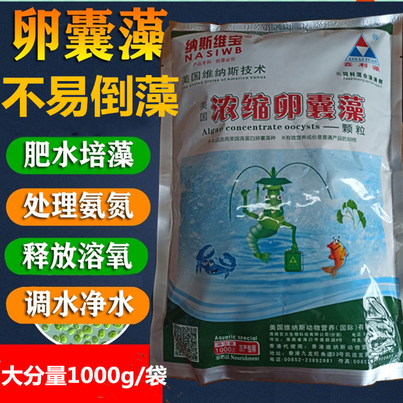 卵囊藻藻种小球藻水产鱼虾蟹养殖肥水培藻绿藻小球藻硅藻藻种净水