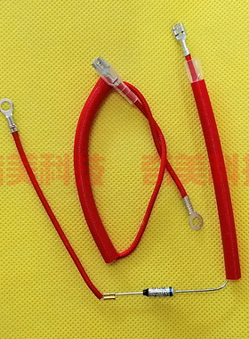 电饭煲电压力锅通用保险丝温度保险管带线端子RY TF172度 10A250V
