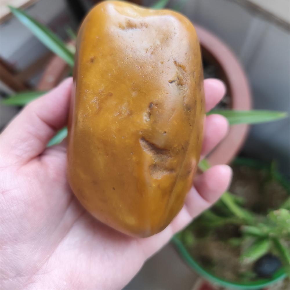 卡瓦石籽料原石547克沁黄皮