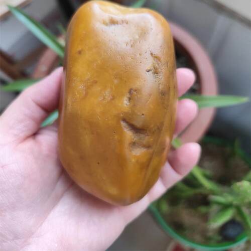 卡瓦石籽料原石547克沁黄皮