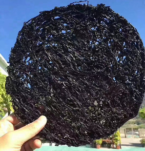 南澳特产特级紫菜干货250g一斤纯天然免洗散装深海无添加网红商用