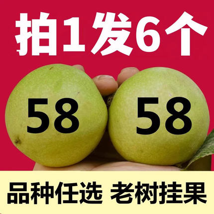 文玩核桃青皮官帽三角白狮子头闷尖四座楼粗筋虎头盘玩手把件野生