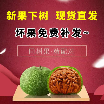 文玩核桃磨盘特大野生麒麟