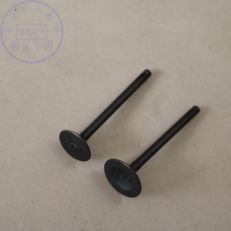 铃木乐至气门丽至小海豚进排气门