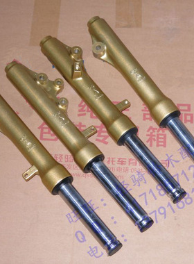 适用轻骑铃木韵彩QS100T前减震金黄色纪念版丽彩QS125T-2前叉避震
