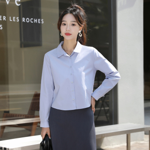 小个子短款蓝色衬衫女长袖高级感职业工作面试天丝棉打底气质上衣