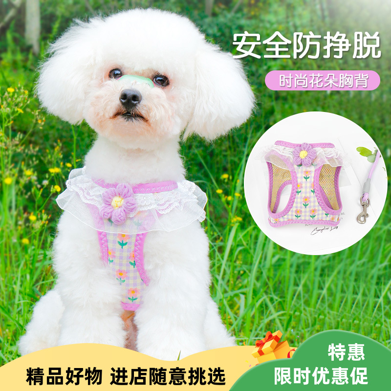狗绳子狗狗牵引绳可爱胸背遛狗牵引绳狗链小型犬专用遛猫绳牵引绳