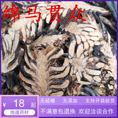 贯众500g克 管仲 贯节 贯渠百头黑 狗脊 虎卷 凤尾草 贯仲 中药材