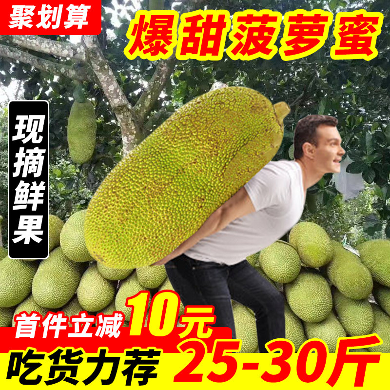 海南三亚菠萝蜜湿包未剥菠萝蜜非泰国越南新鲜水果整个包邮非红肉,水产肉类/新鲜蔬果/熟食,菠萝蜜,淘宝优惠券,粉丝福利购,淘宝优惠卷