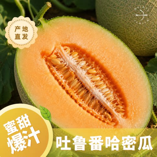 正禾·产地直发新疆吐鲁番哈密瓜蜜甜多汁西州火焰山蜜瓜新鲜水果