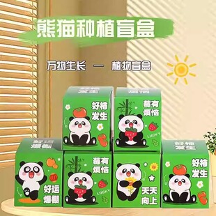 创意熊猫种植盆栽小学生奖励儿童节日全班幼儿园生日奖品伴手礼物