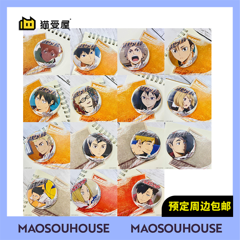 【猫受屋】文房具 排球少年 2021青春一页吧唧 链接一再版周边 现