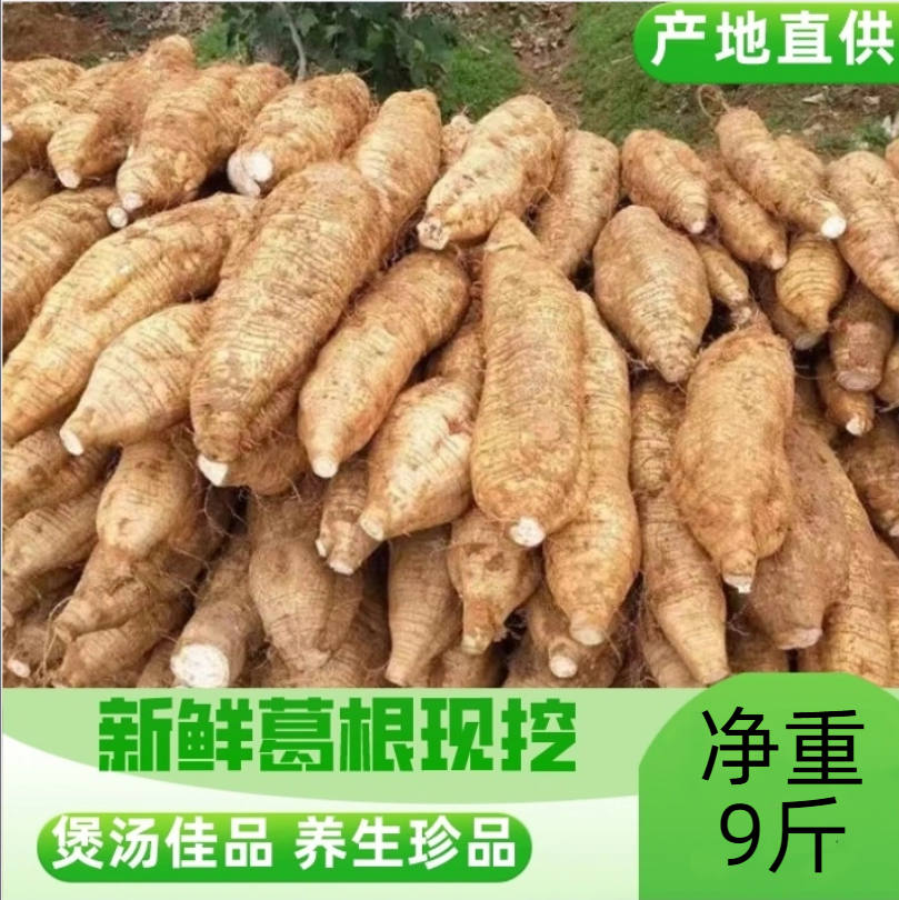 广西特产梧州 藤县和平粉葛 新鲜葛根葛薯 煲汤佳品净重9斤
