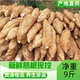 煲汤佳品净重9斤 新鲜葛根葛薯 广西特产梧州 藤县和平粉葛