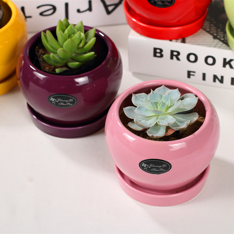 多肉小花盆陶瓷套装组合北欧风简约创意圆形客厅彩色糖果色带托盘