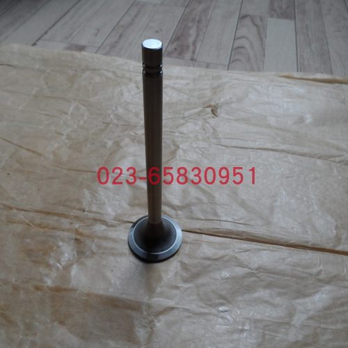 适配Cummins康明斯柴油发动机排气门145701 3803519 3803524 气阀