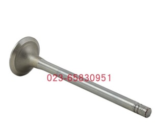 适配Cummins康明斯柴油发动机4999509排气门牵引车 Exhaust valve