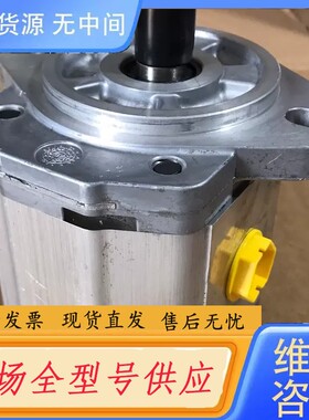 请询价-丹佛斯齿轮泵SNP2NN/017RN06GA 仅装机未使用