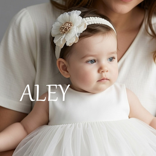 ALEY女童立体花朵周岁发带