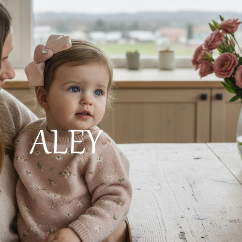 ALEY限定简约粉色蝴蝶结发箍