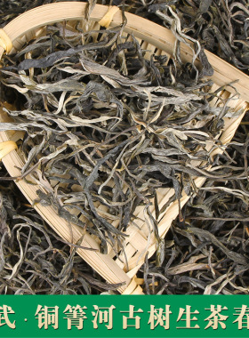 铜箐河普洱茶散茶生茶易武正山百年古树茶勐腊茶叶生普洱散装500g