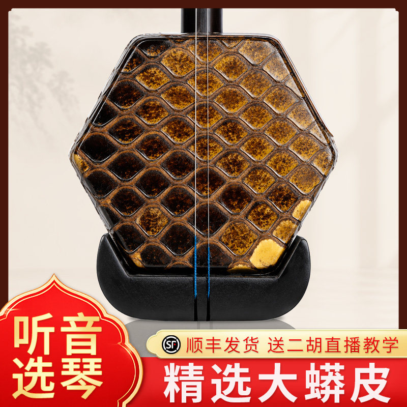 悠扬二胡乐器专业演奏大蟒皮大音量黑檀考级独奏厂家直销
