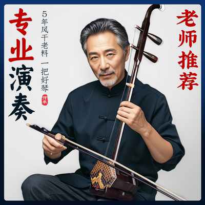 黑檀木紫檀红木二胡乐器厂家直销初学者入门成人演奏专业苏州考