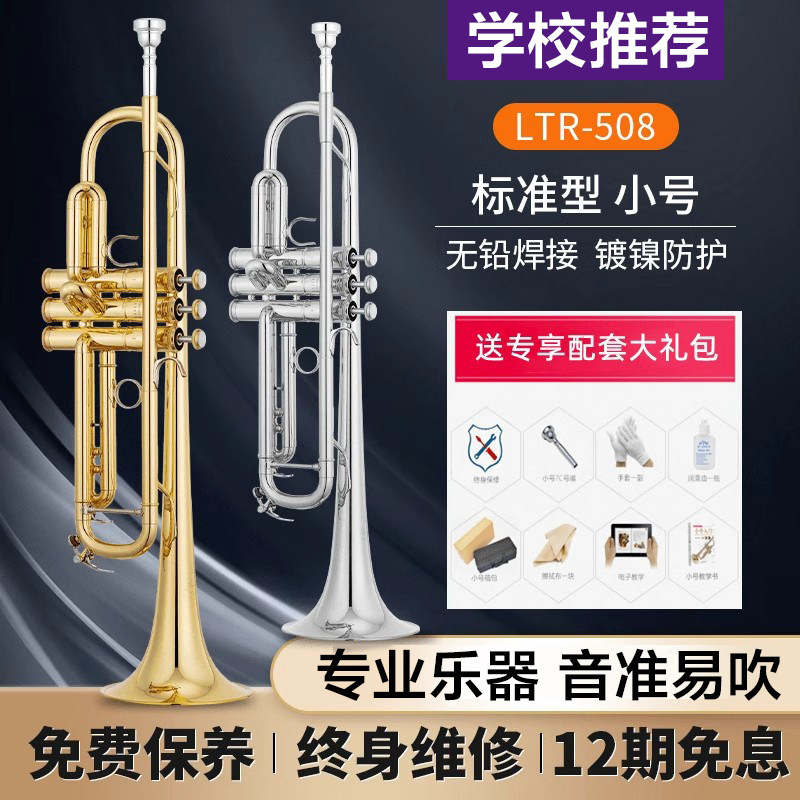 老师推荐降B调三音小号乐器学生儿童成人初学考级乐团专业演奏