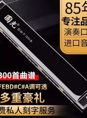 上海老品牌国光口琴24孔复音C/A/B/D/E/F/G#调初学者学生成人演奏