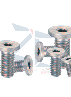 TAF52薄头平头超短螺栓CBSTS2/2.5/3/4-3/4/5/6/8/10/12/14/16/20