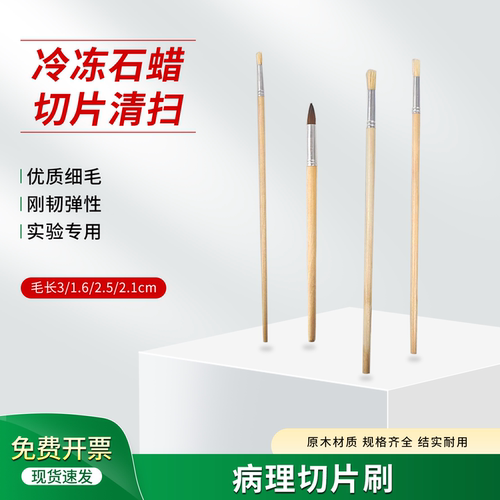 病理切片捞片毛笔石蜡切片毛笔冰冻切片清扫笔专用毛笔实验室
